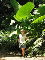 007 Jardin Botanique